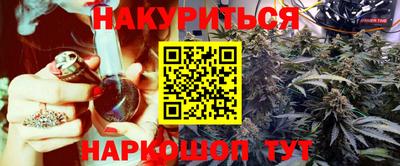 сатива Кудрово