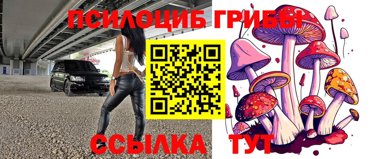 Галлюциногенные грибы GOLDEN TEACHER  Вход с VPN  Псилоцибиновые грибы Psilocybine cubensis  Екатеринбург 